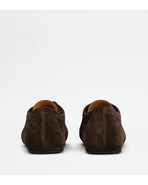 Tod's Brown Lace-Up Derby Shoes for men