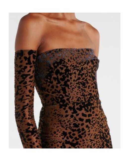 Alex Perry Brown Leopard-Print Corset Gown