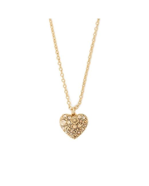 COACH Metallic Necklace And Earring Set