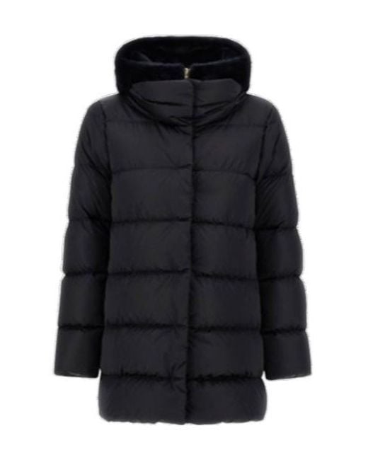 Herno Black A-Shape Jacket