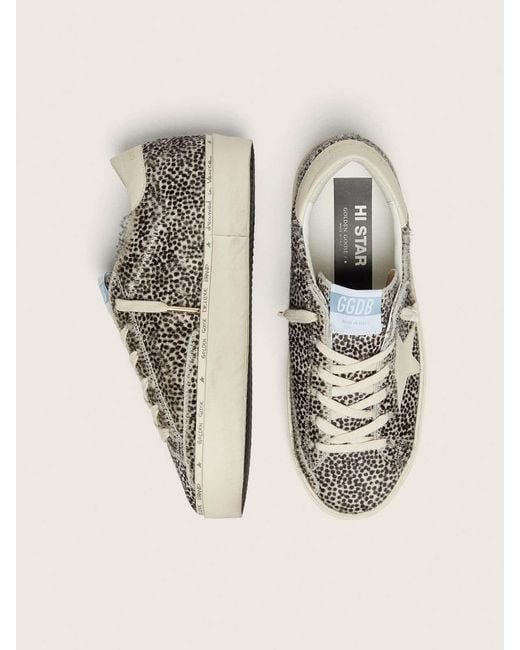 Golden Goose Deluxe Brand Gray Hi Star Low-Top Sneakers