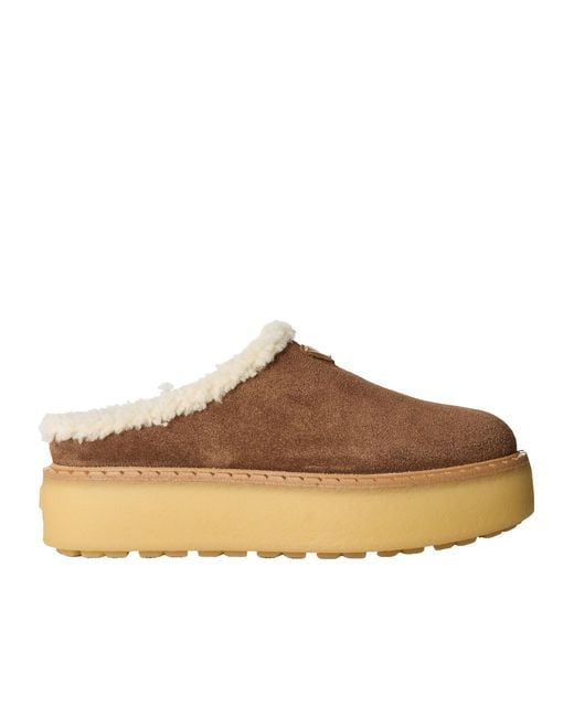 Prada Brown Simple Mules