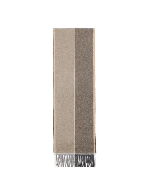Ferragamo Brown Logo Scarf