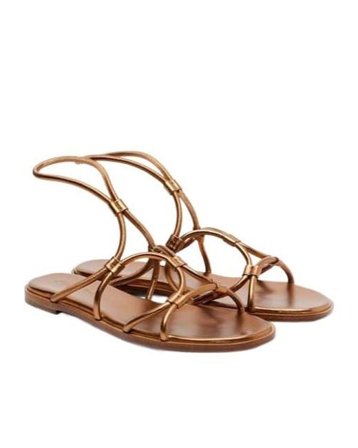 Gianvito Rossi Brown Solid Color Leather Sandals