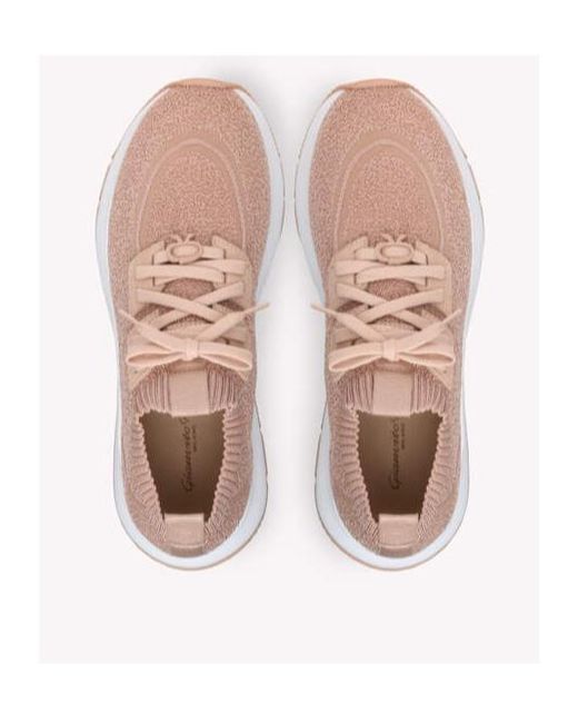 Gianvito Rossi Pink Lace Up Sneakers
