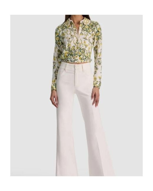 Alice + Olivia Green Printed Collar Cardigan