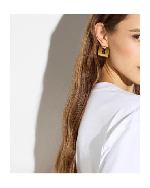 Elisabetta Franchi Metallic Curved Earrings With Logo