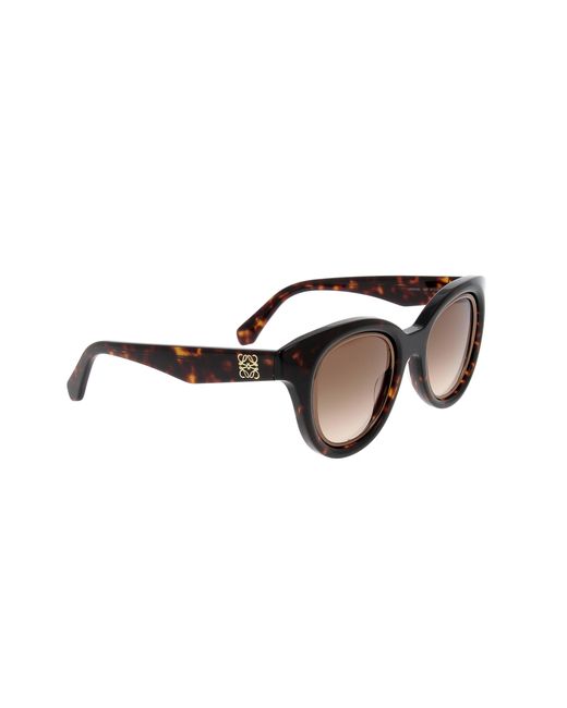 Loewe Multicolor Oval Frame Sunglasses