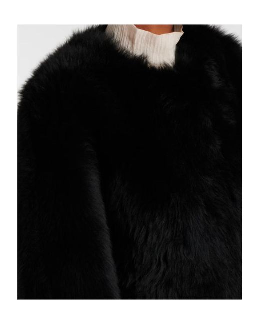 Joseph Black Gomez Fur