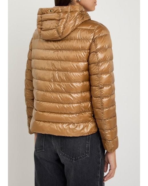 Herno Brown Padded Nylon Jacket