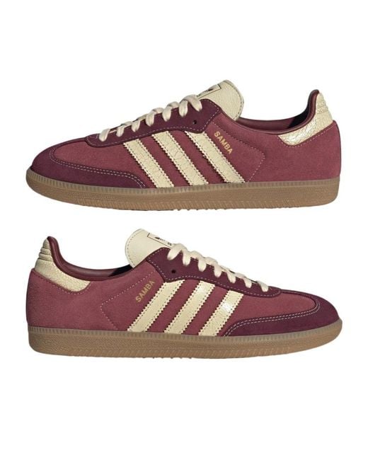 Adidas Originals Brown Samba Leather Sneakers for men