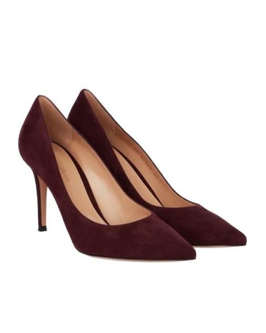 Gianvito Rossi Brown Solid Suede Pumps