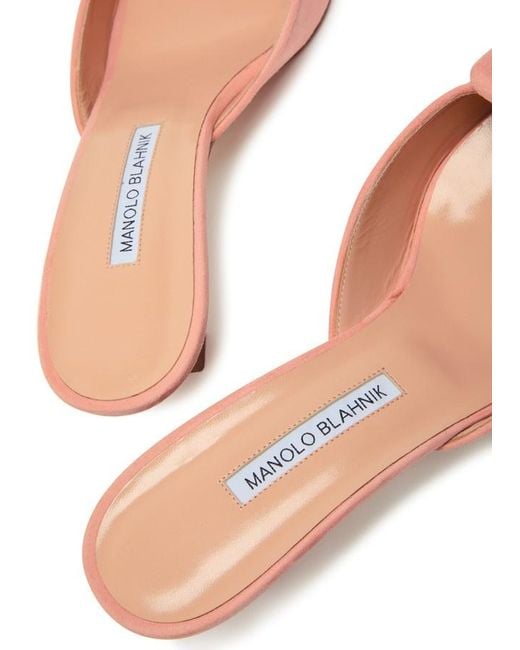 Manolo Blahnik Pink Maysale 50 Suede Mules