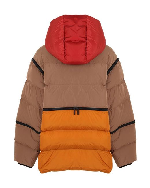 DSquared² Brown Hooded Down Coat for men