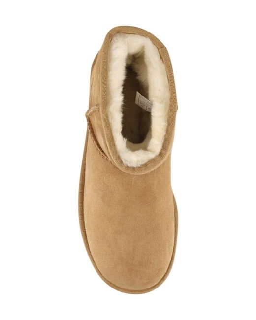 Ugg Brown Classic Mini Ii Boots