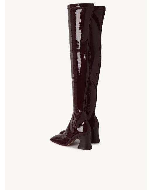 Chloé Multicolor Chloé Janis Over-The-Knee Boots
