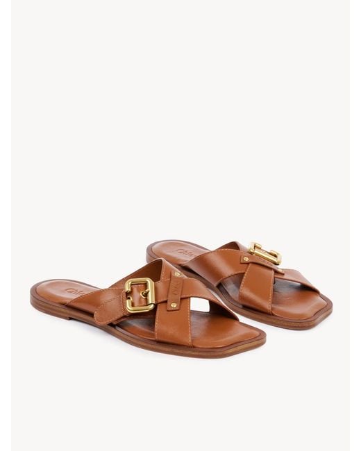 Chloé Brown Nil Slide