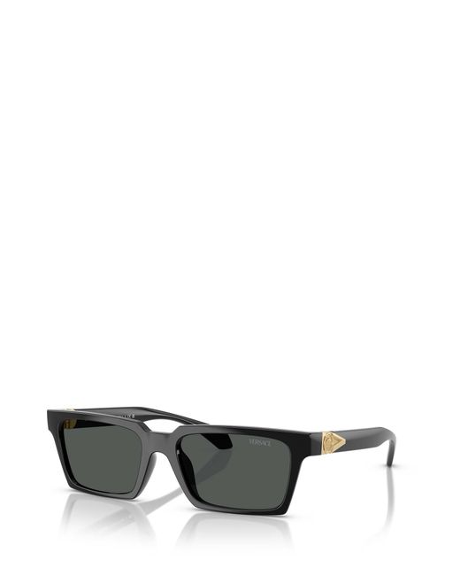 Versace Multicolor Ve4490U Sunglasses for men