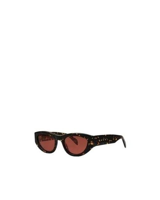 Marni Brown Sunglasses