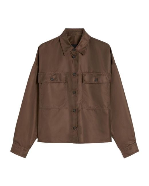 Weekend by Maxmara Brown Vivetta Cropped Shirt
