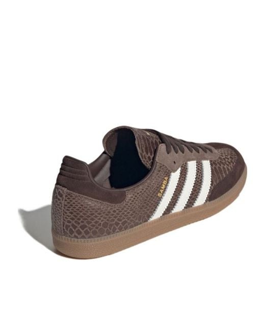 Adidas Originals Brown Samba Og Low-Top Sneakers for men