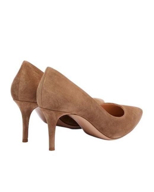 Gianvito Rossi Brown Solid Suede Pumps