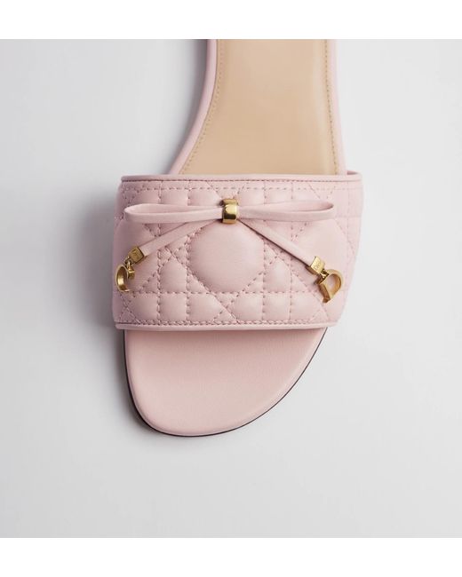 Dior Multicolor Cannage Slide