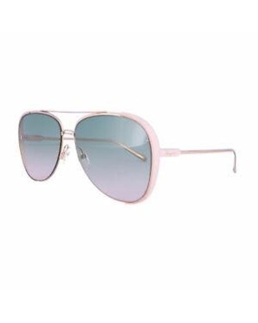 Ferragamo Blue Logo Sunglasses