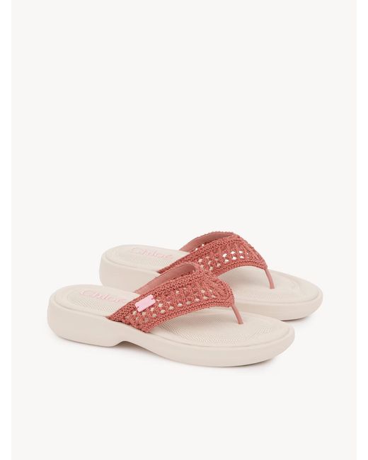 Chloé Pink Chloé Poolette Flip Flops