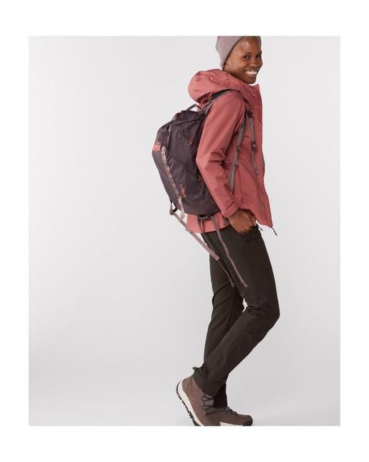 Patagonia Gray Logo Casual Pants
