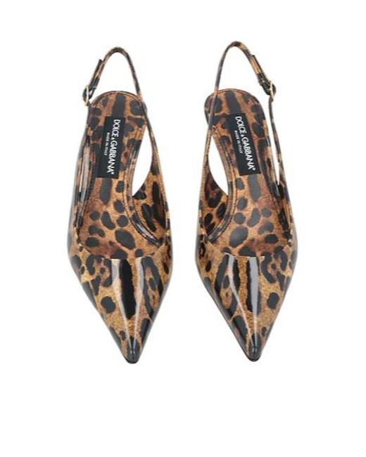 Dolce & Gabbana Brown Leopardprint Pointedtoe Stilettoheel Highheels