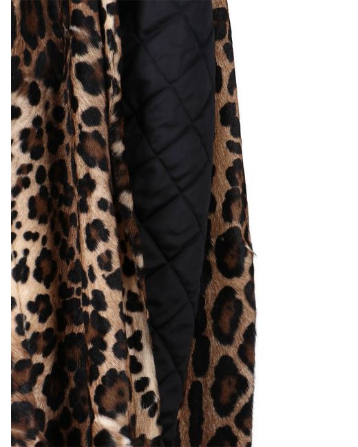 Dolce & Gabbana Brown Leopard Printed Coat