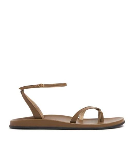 The Row Multicolor Hugh Ankle Strap Flat Sandals