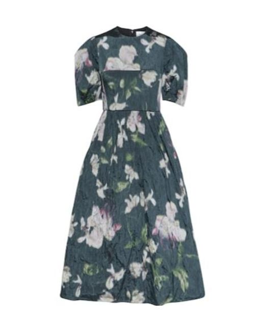 Erdem Blue Floral Taffeta Midi Dress