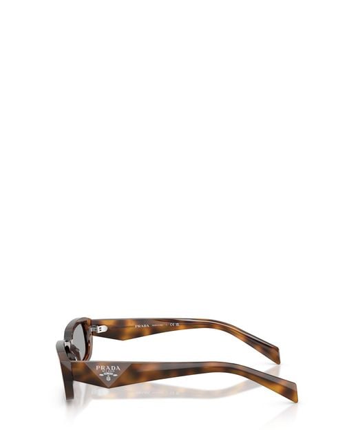 Prada Brown Symbole Sunglasses