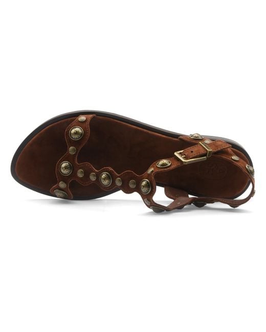 Ash Brown Studded Flat Sandals