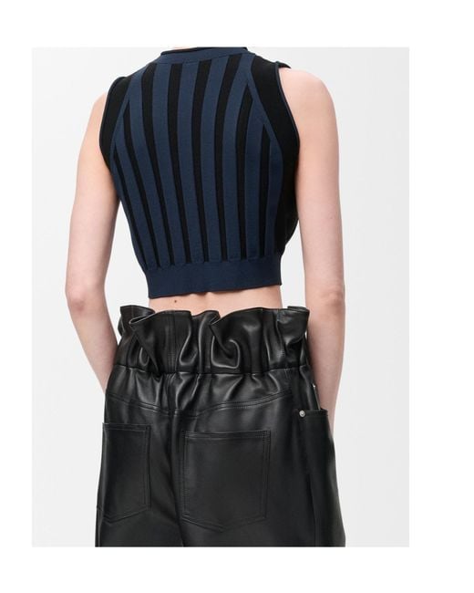 Loewe Blue Top