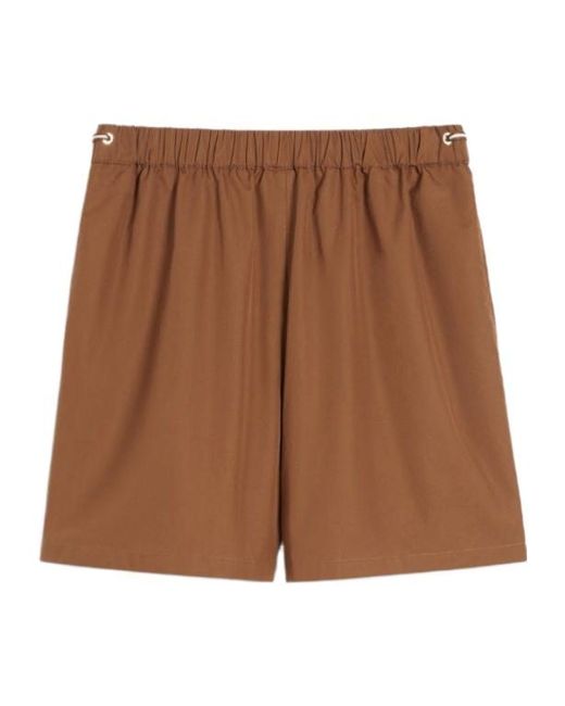 Max Mara Brown Haway High Waist Shorts