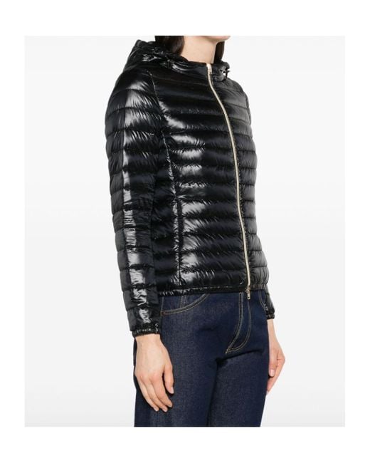 Herno Black Zip-Up Hooded Down Jacket