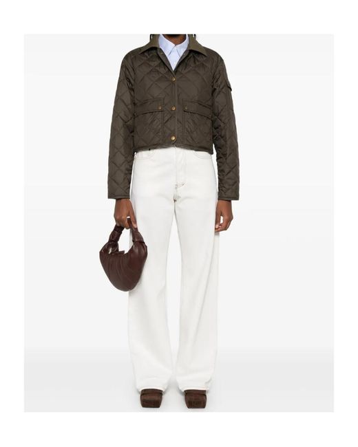 Moncler Brown Long Sleeve Jacket