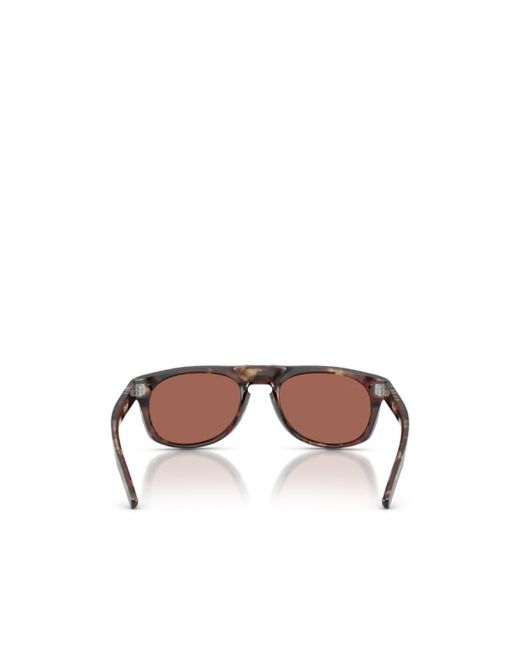 Persol Brown Framed Sunglasses for men
