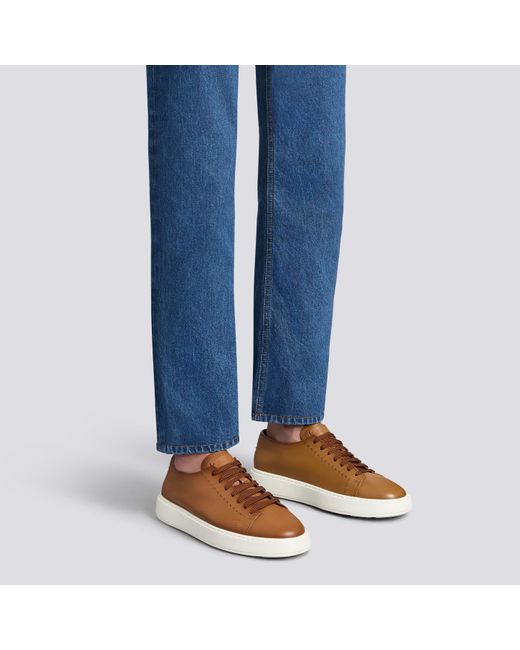 Santoni Brown Sneakers for men