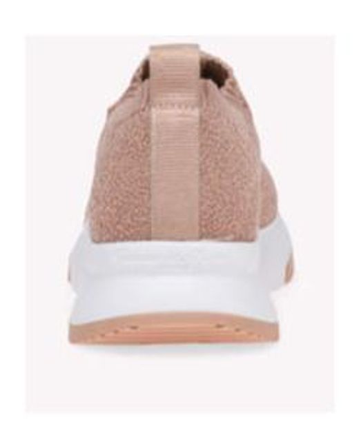 Gianvito Rossi Pink Lace Up Sneakers