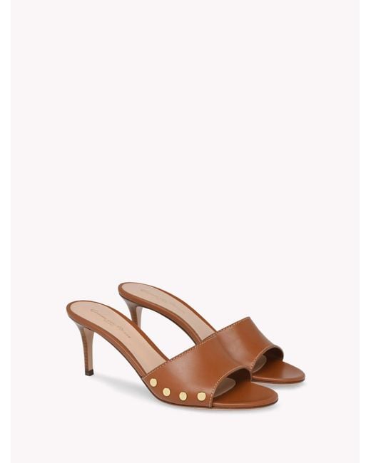 Gianvito Rossi Brown Avelin