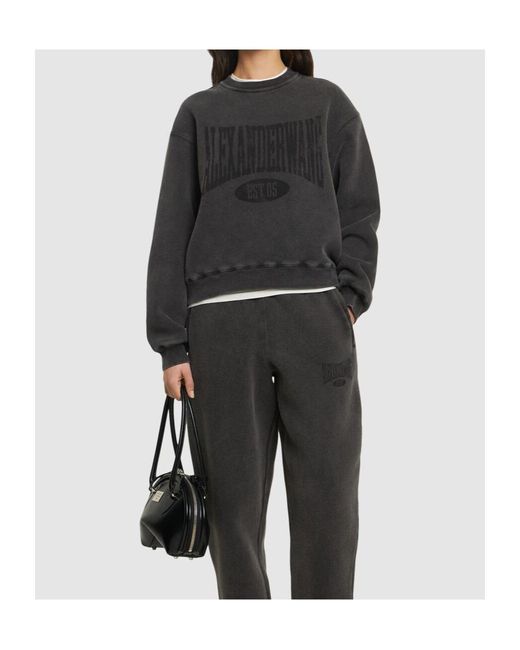 Alexander Wang Gray Graphic Jersey Sweatshirt