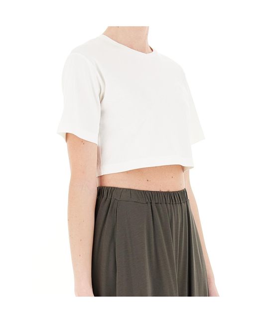 Max Mara White Cropped T-Shirt