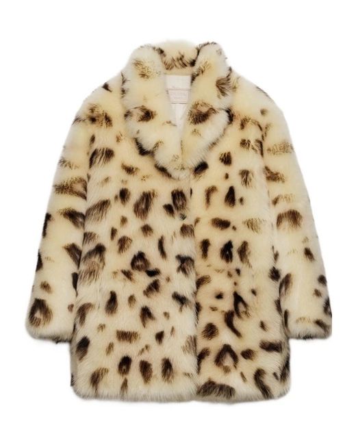 Prada Natural Neutrals Coats
