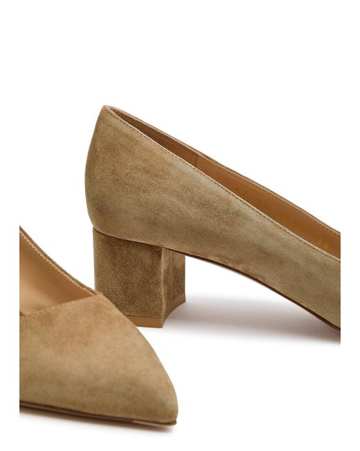 Gianvito Rossi Brown Pointed-Toe Block Heel Shoes