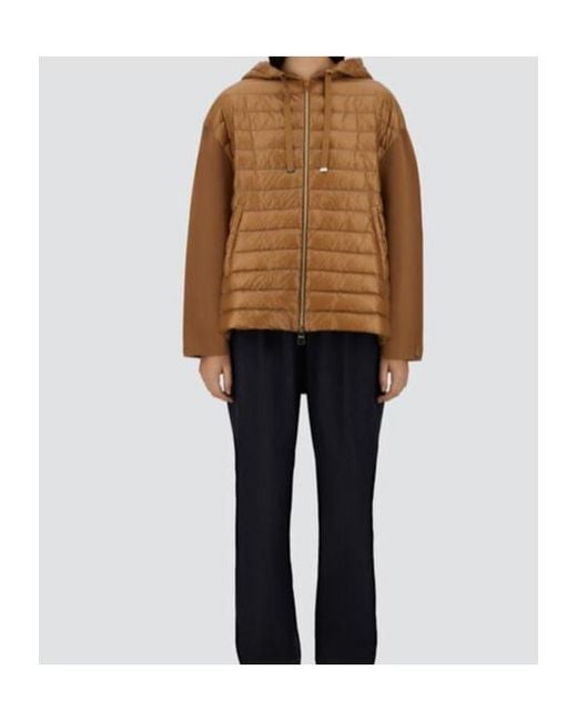 Herno Brown Hooded Padded Jacket