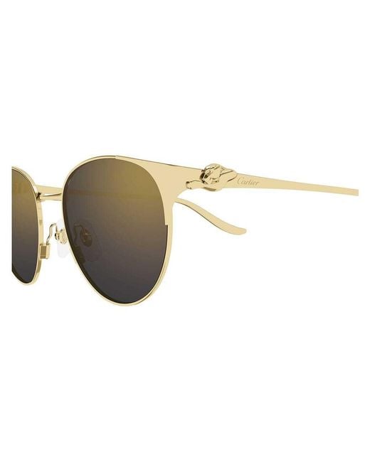 Cartier Multicolor Cat-Eye Sunglasses for men